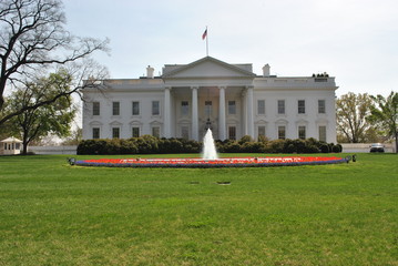 Fototapeta na wymiar The White House Lawn and Fountain in Spring