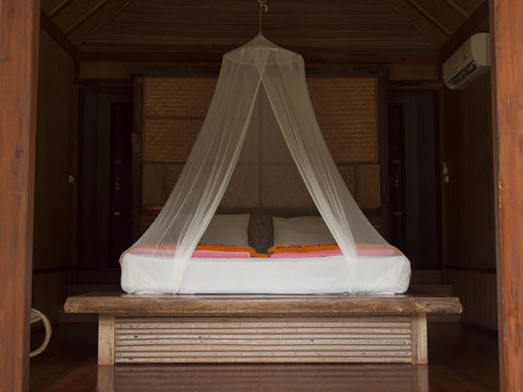 Tropical bed with mosquito netting