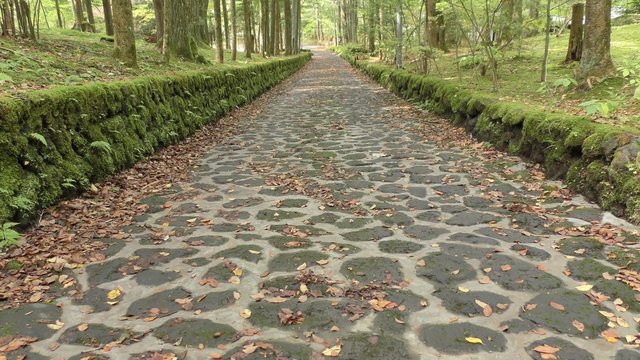 軽井沢　幸福の谷別荘地内の石畳の道
