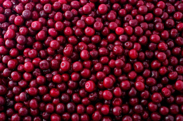 Ripe Cherry  - texture - backround
