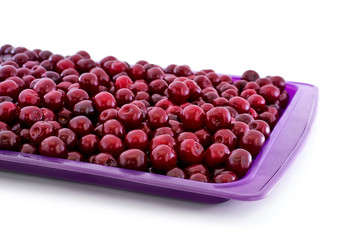 Ripe Cherry in purple pot isolated on white background