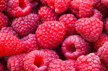 Delicious first class fresh raspberries close up texture - background