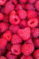 Delicious first class fresh raspberries close up texture - background
