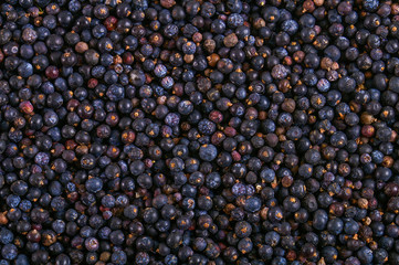 Frozen wild blueberries in crates texture - background