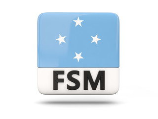 Square icon with flag of micronesia