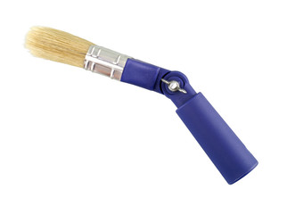 Home plant in flowerpot isolate on white background