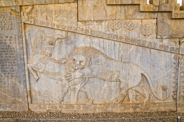 Lion relief detail Persepolis