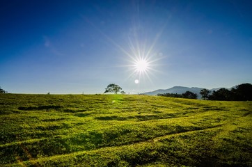 sunrise in the mountains landscape
