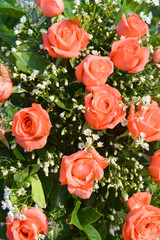 orange roses in a wreath