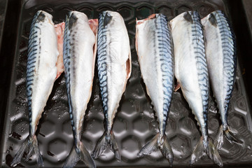 Obraz premium Cooking fish mackerel on a tray in the oven