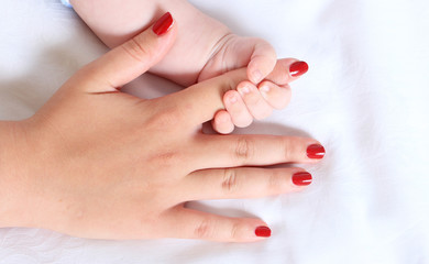 малыш держит маму за руку