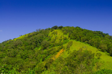 Fototapeta na wymiar green hill with blue sky