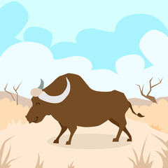Cartoon Bizon Desert Sand Buffalo Colorful © mast3r