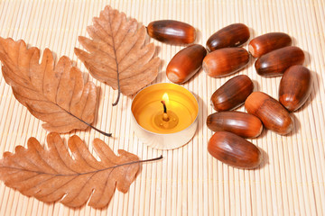 Naklejka na ściany i meble Oak leaves, acorns and yellow candle