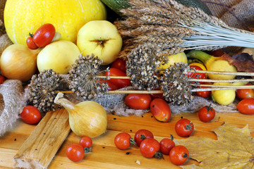 Tomato harvest of pumpkins and autumn vegetables