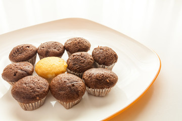Tasty chocolate muffins with one cake muffin in center