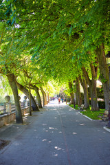 Burgos paseo espolon park in Castilla Spain