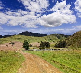 BTops Cattle Station Farm