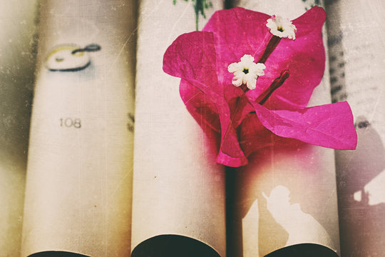 Vintage pages of a book with flower/ nostalgic vintage style