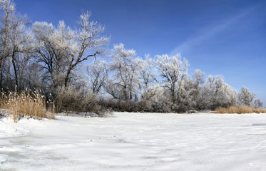 Beautiful winter landscape in the near coast,  background
