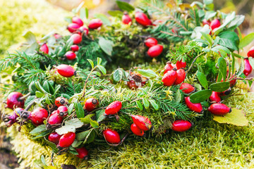 Fototapeta na wymiar wreath of wild rose and tree branches on the moss