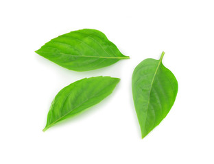 Sweet Basil isolated on white background.
