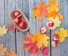 Red apples on wood background in basket with autumn maple leaves yellow composition