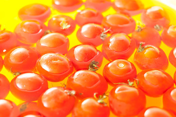 Very fresh tomatoes presented in water before canning or cooking