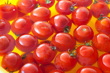 Very fresh tomatoes presented in water before canning or cooking