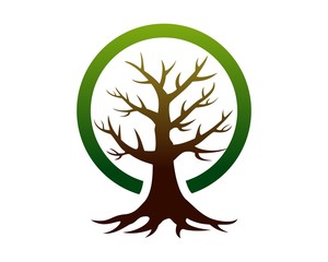 Obraz premium tree business