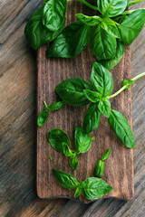 Green fresh basil on wooden background