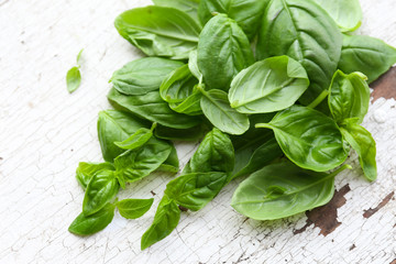 Green fresh basil on wooden background