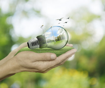 Light bulb with wind turbines and forest inside in hands on gree