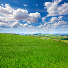 Cereal fields by The Way of Saint James in Castilla