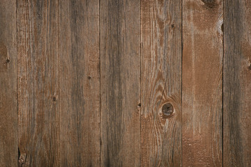 Texture of old vintage bark wood use as natural background