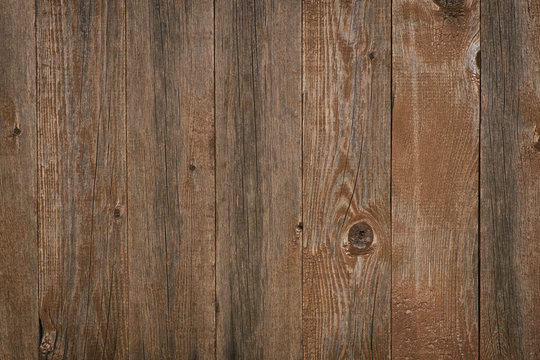 Texture of old vintage bark wood use as natural background