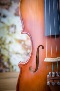 violin