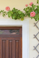 Door entrance of residential house with rose flower and fence