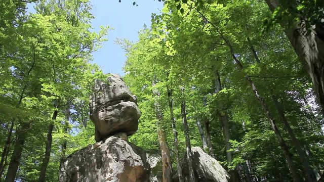 huge rock in forest