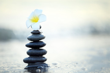 Obraz na płótnie Canvas Spa stones with flower on sea beach outdoors