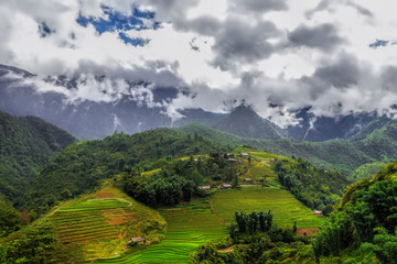Obraz premium Rice fields in Sapa village, Vietnam