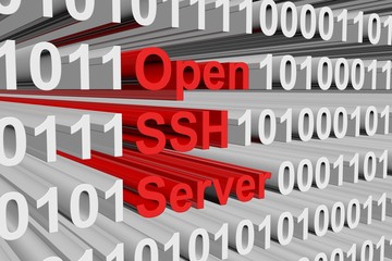 Open SSH Server is represented as a binary code