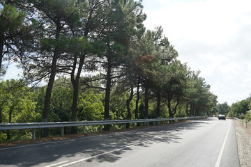 Fototapeta premium road