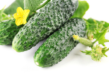 Fresh cucumbers with leafs on white background, close up