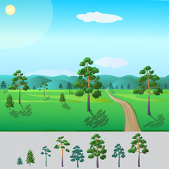 Fototapeta premium - ready trees pine/ pine trees of different sizes to work for your picture about the nature of the forest
