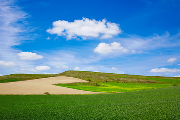 Cereal fields by The Way of Saint James in Castilla