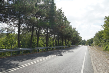 Fototapeta premium road