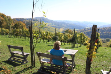 Weinstra&szlig;e 2015 21