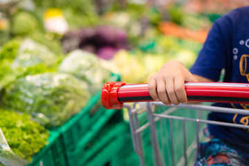 Red handle shopping cart with boy's hand beside vegetables display