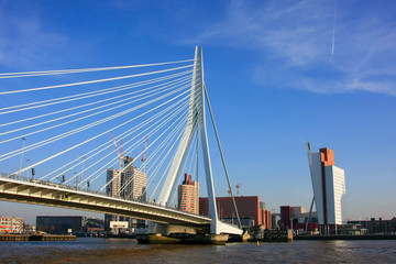 Erasmus Bridge on the River of Meuse in Rotterdam